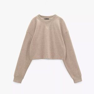 Zara Women's Beige Crew Neck Sweater - NWOT